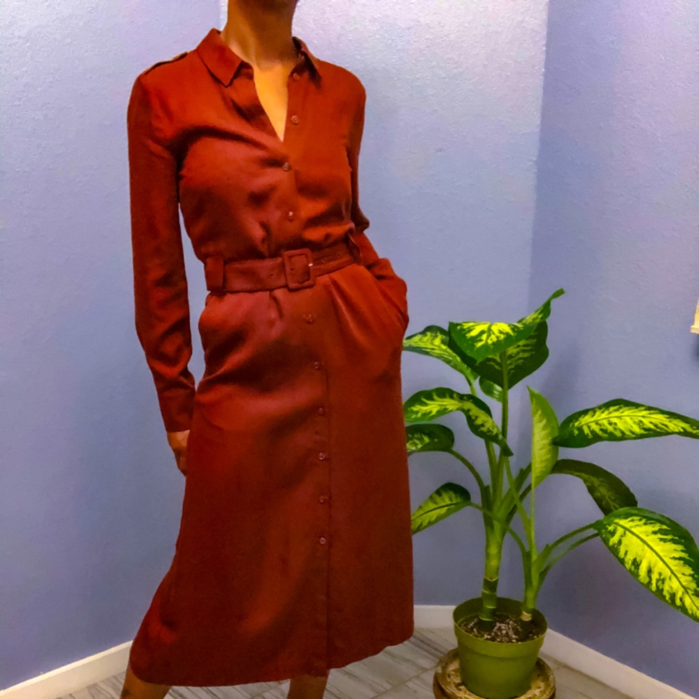 Rust Colored Belted Dress w/Pockets